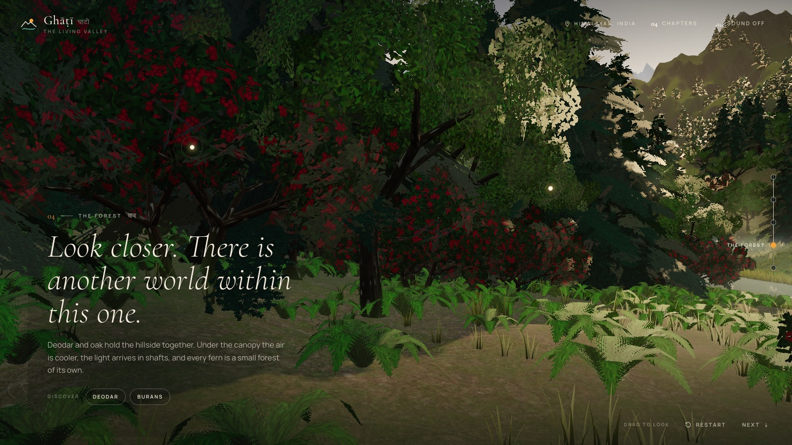Chapter 04, The Forest: burans in bloom under deodar and oak